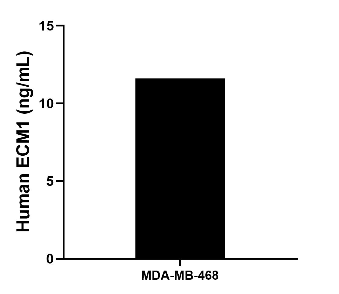 Sample test of MP00011-4